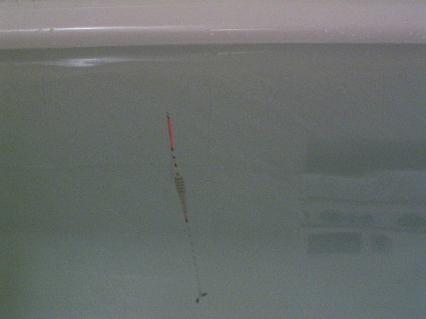 113_1340.JPG