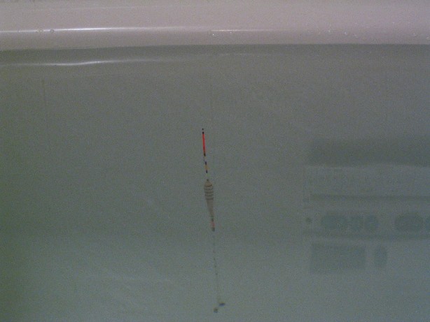 113_1342.JPG