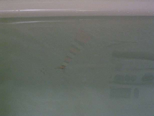 113_1344.JPG