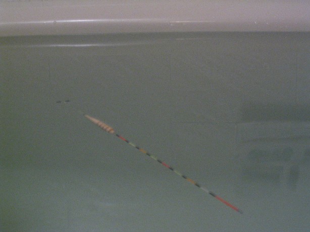 113_1376.JPG