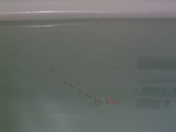 113_1377.JPG