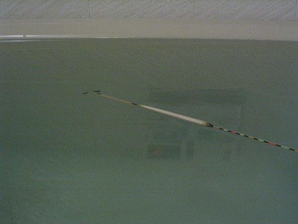 117_1772.JPG