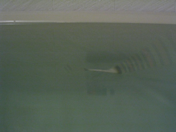 117_1773.JPG