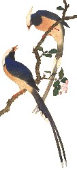 ʐ^
